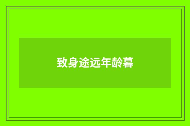 致身途远年龄暮