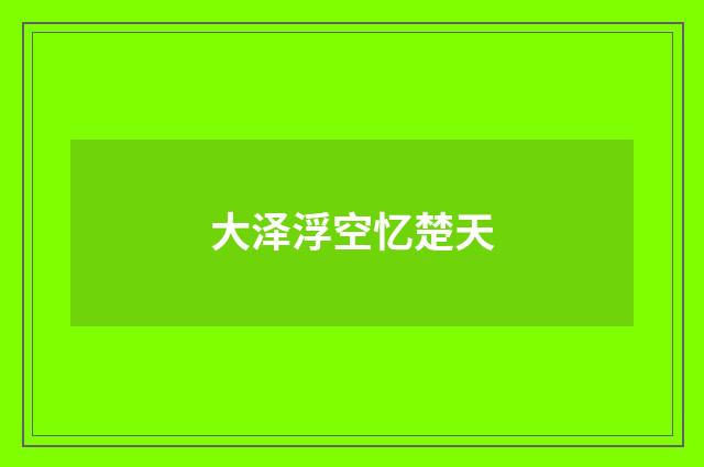 大泽浮空忆楚天
