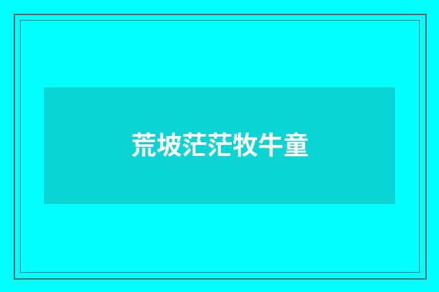 荒坡茫茫牧牛童