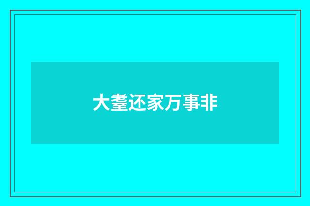 大耋还家万事非