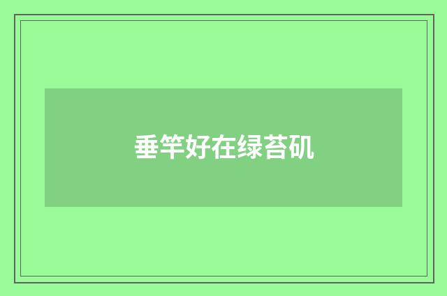 垂竿好在绿苔矶