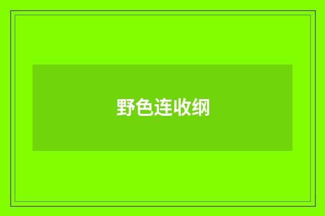 野色连收纲