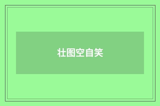 壮图空自笑
