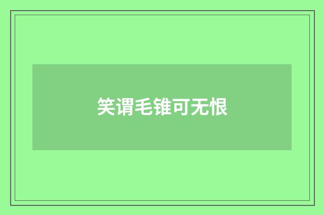 笑谓毛锥可无恨