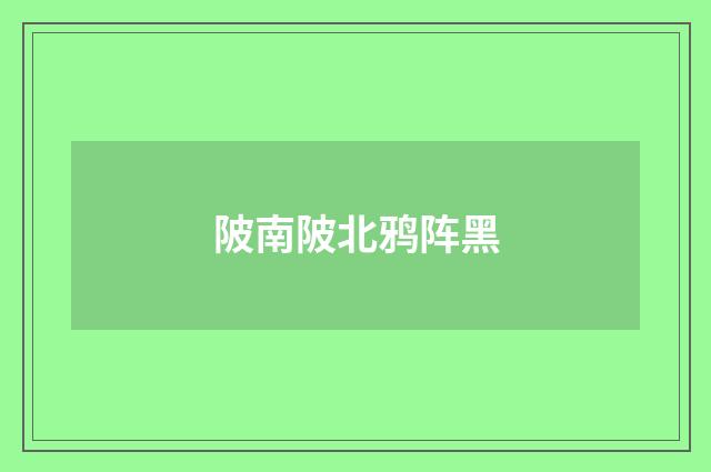 陂南陂北鸦阵黑