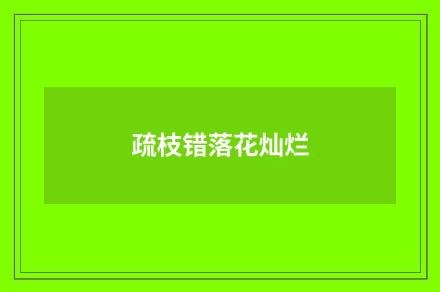 疏枝错落花灿烂