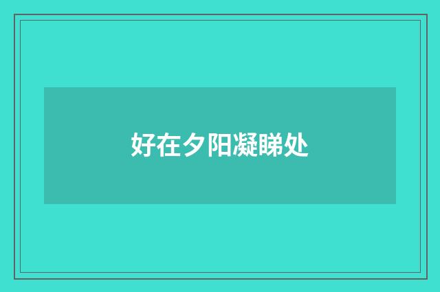 好在夕阳凝睇处