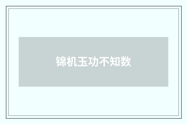 锦机玉功不知数