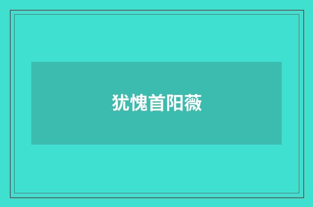 犹愧首阳薇
