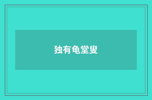 独有龟堂叟