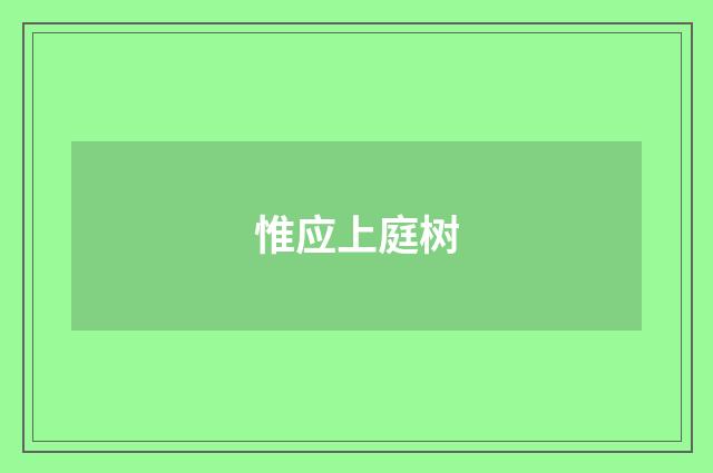 惟应上庭树