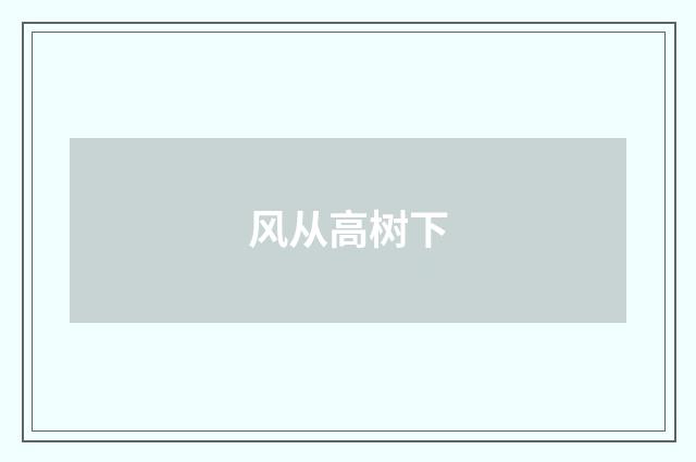 风从高树下