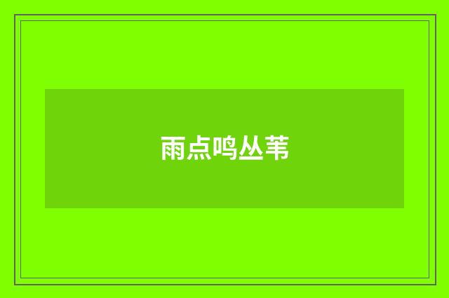 雨点鸣丛苇