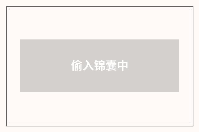 偷入锦囊中
