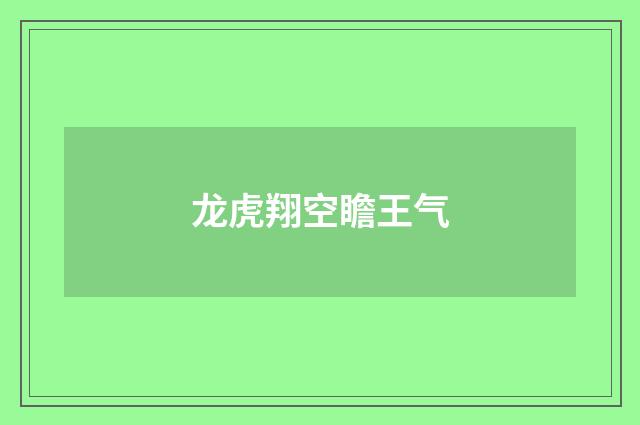龙虎翔空瞻王气