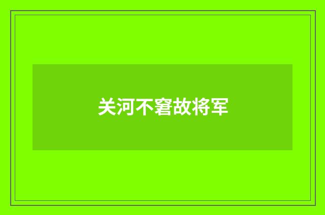 关河不窘故将军