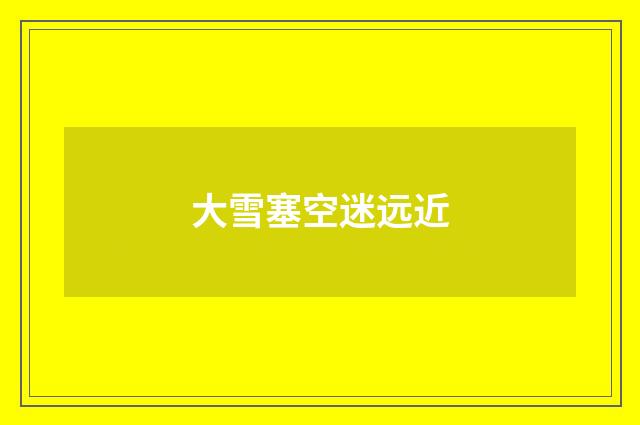 大雪塞空迷远近