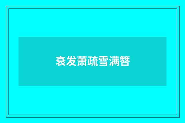 衰发萧疏雪满簪