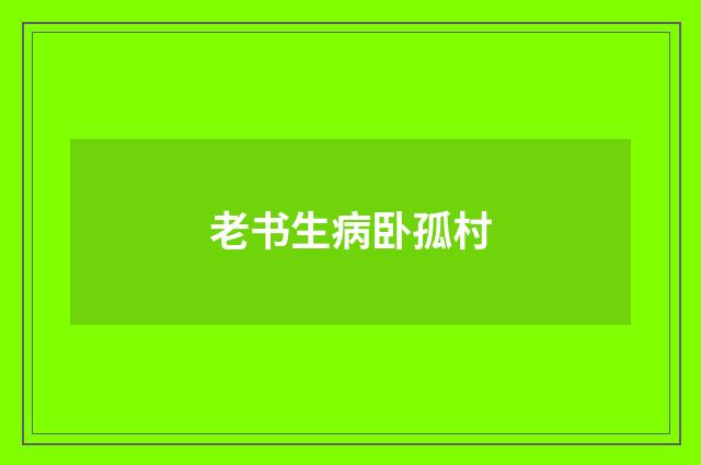 老书生病卧孤村