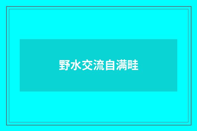 野水交流自满畦
