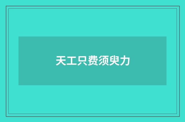 天工只费须臾力