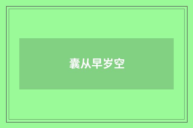 囊从早岁空