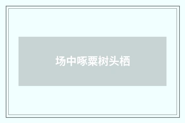 场中啄粟树头栖