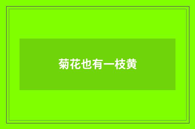 菊花也有一枝黄