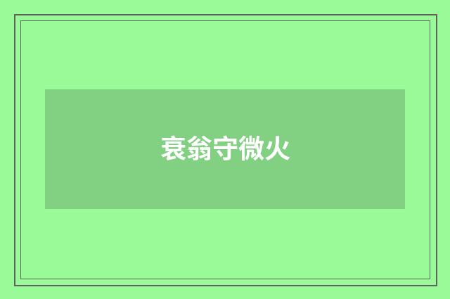 衰翁守微火