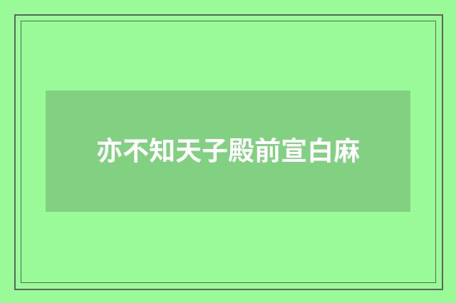 亦不知天子殿前宣白麻