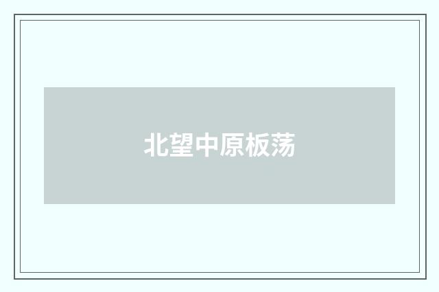北望中原板荡