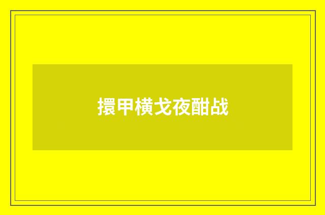 擐甲横戈夜酣战