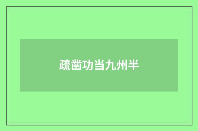 疏凿功当九州半