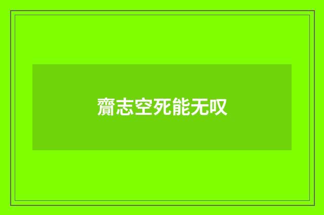 齎志空死能无叹