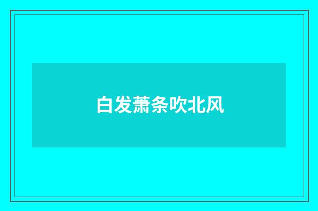 白发萧条吹北风