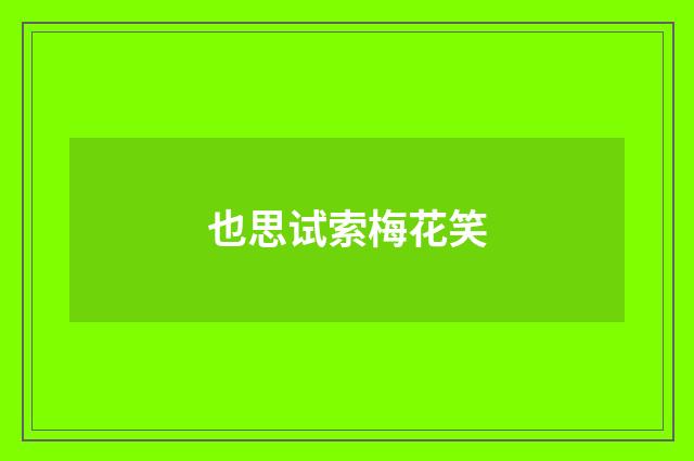 也思试索梅花笑