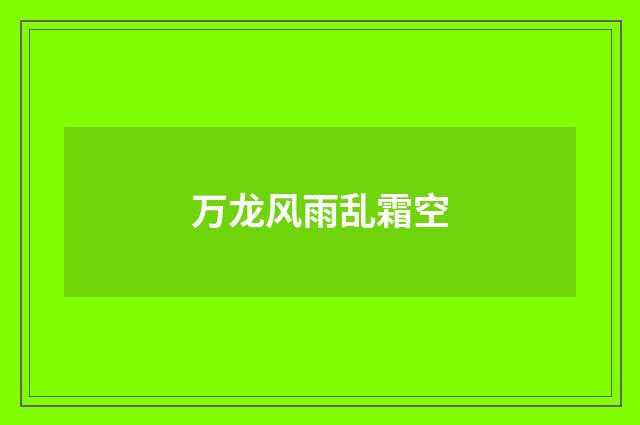 万龙风雨乱霜空