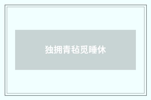 独拥青毡觅睡休