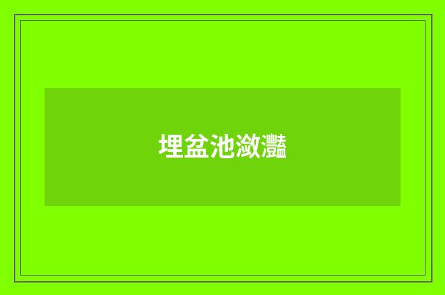 埋盆池潋灩