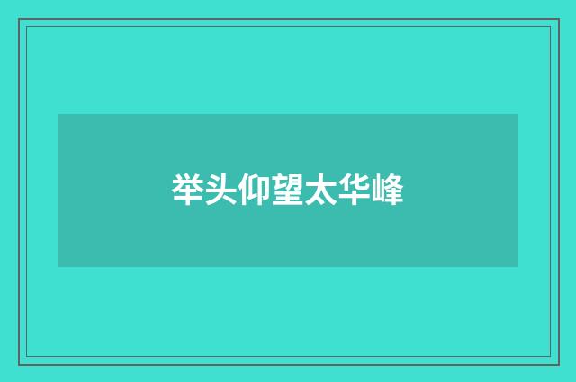 举头仰望太华峰
