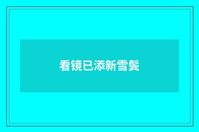 看镜已添新雪鬓