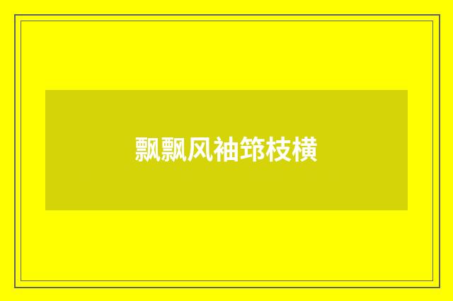 飘飘风袖筇枝横