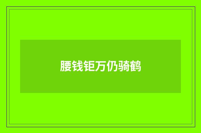 腰钱钜万仍骑鹤