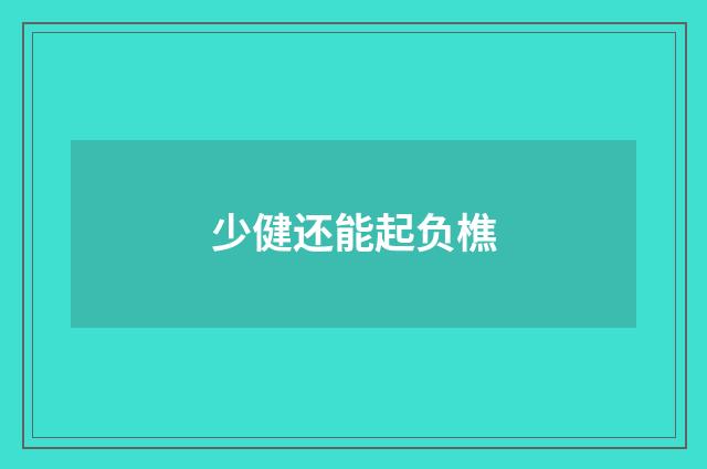 少健还能起负樵