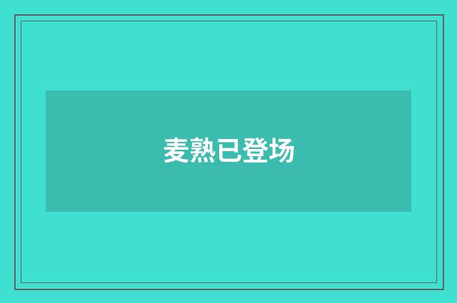 麦熟已登场