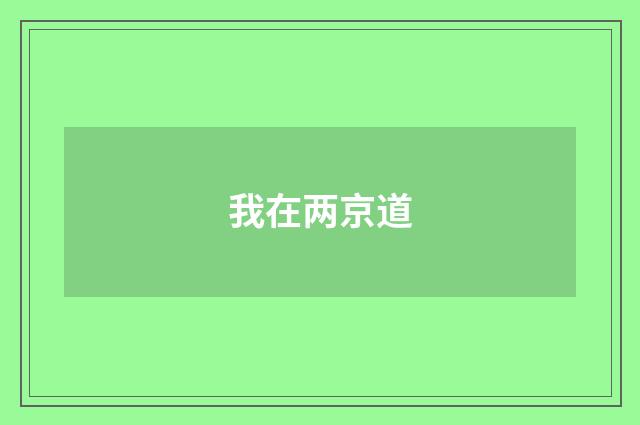 我在两京道