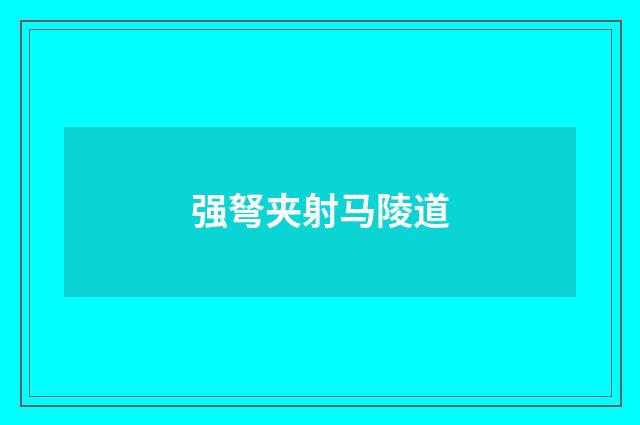 强弩夹射马陵道