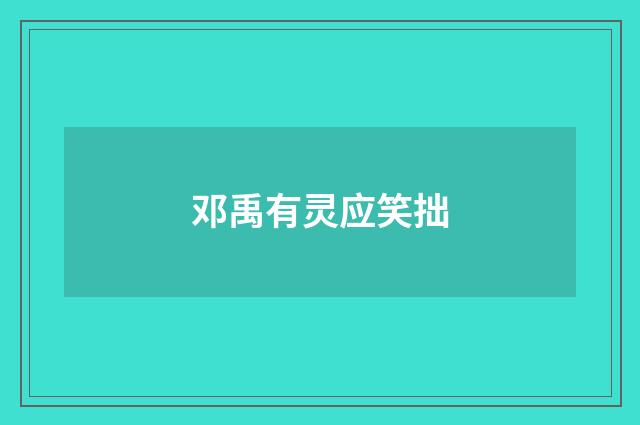 邓禹有灵应笑拙