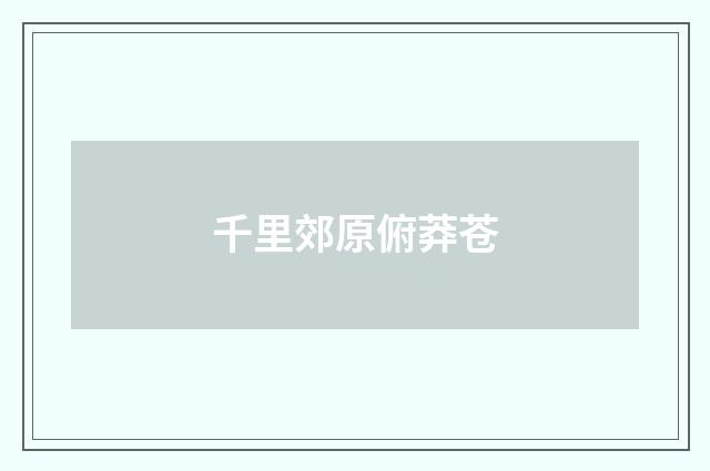 千里郊原俯莽苍