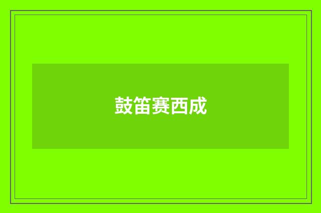 鼓笛赛西成